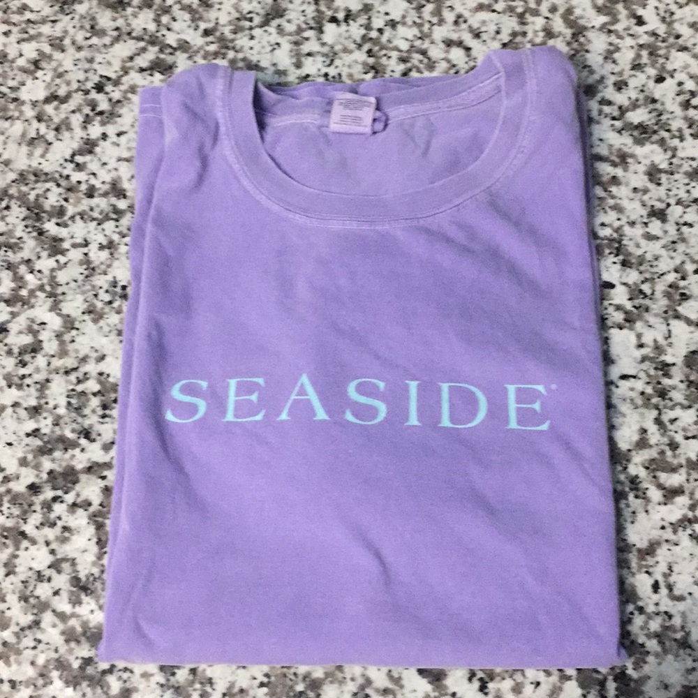 Purple Comfort Colors Seaside Tee
